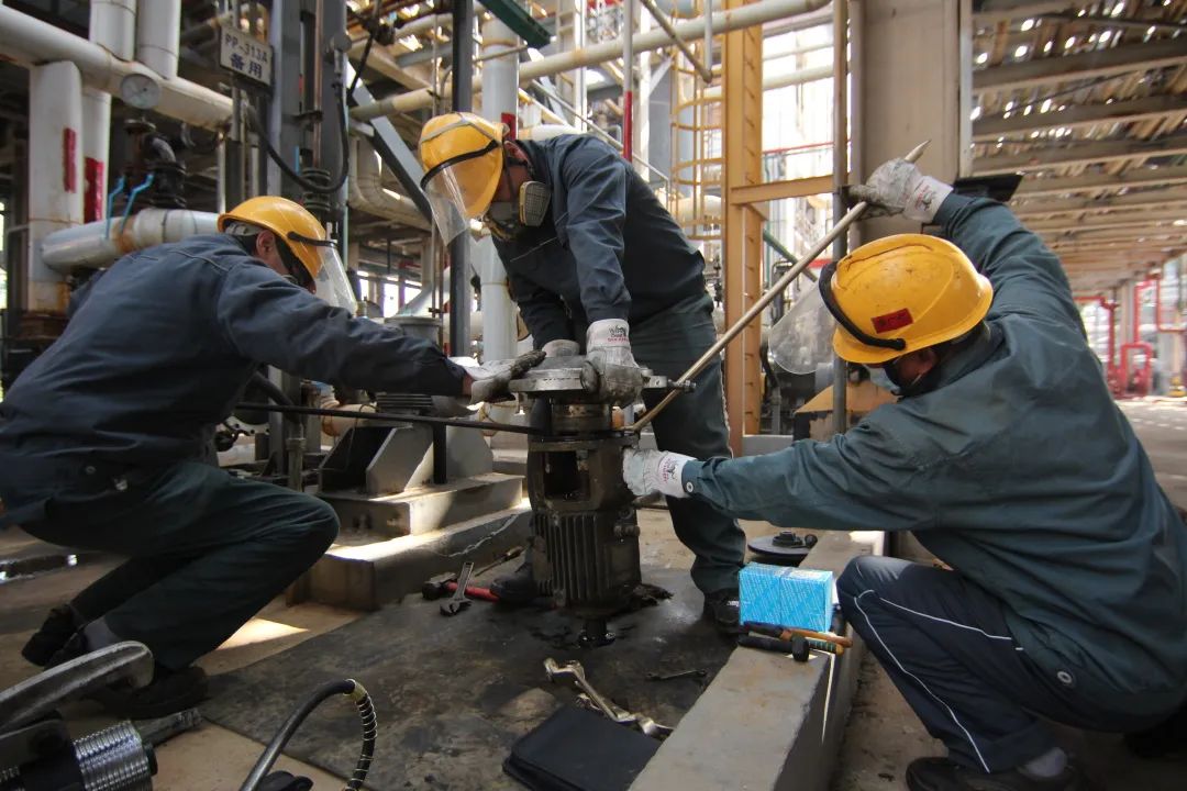 金年会|jinnianhui金年会·(金字招牌)诚信至上官网