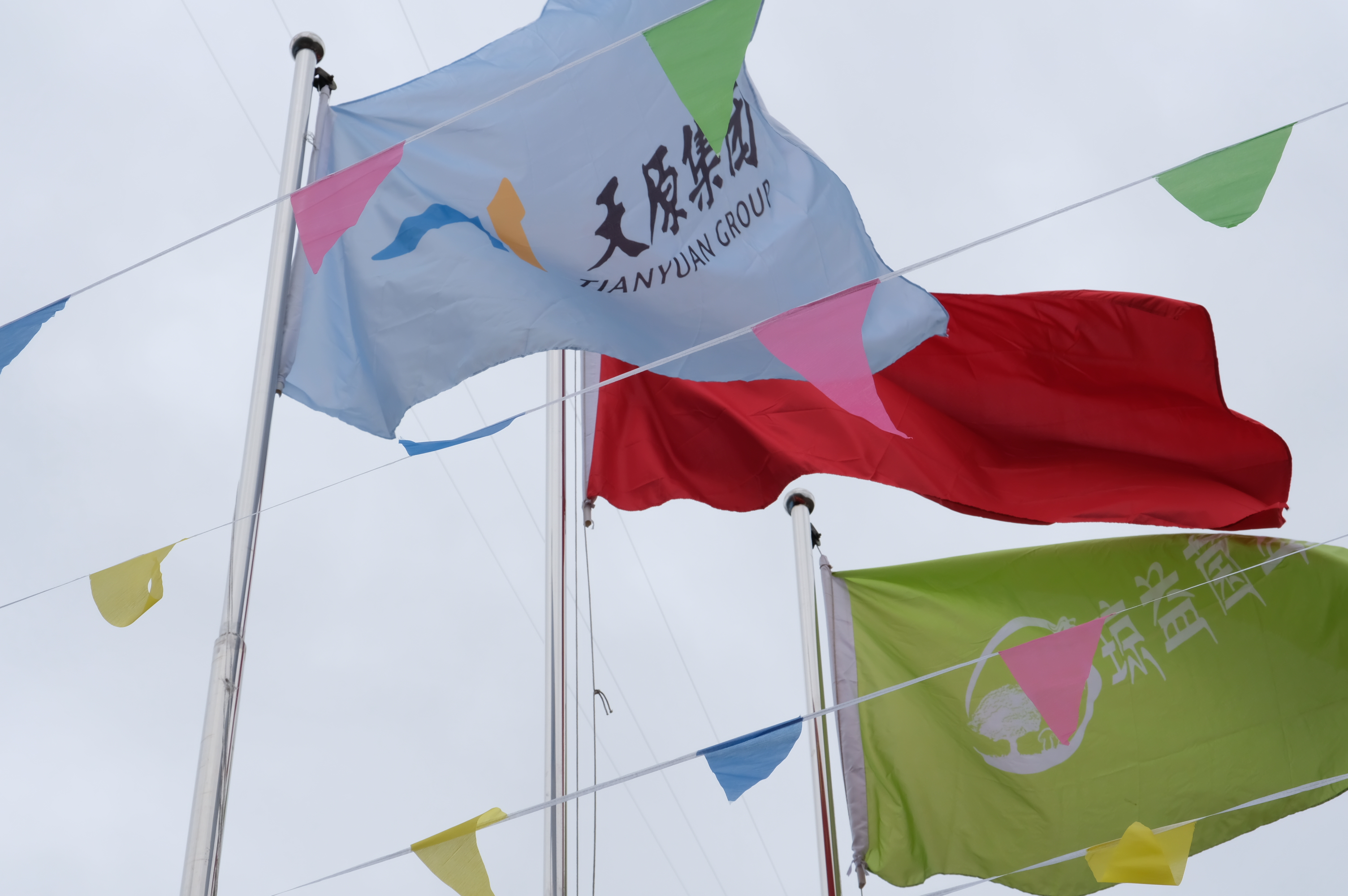 金年会|jinnianhui金年会·(金字招牌)诚信至上官网