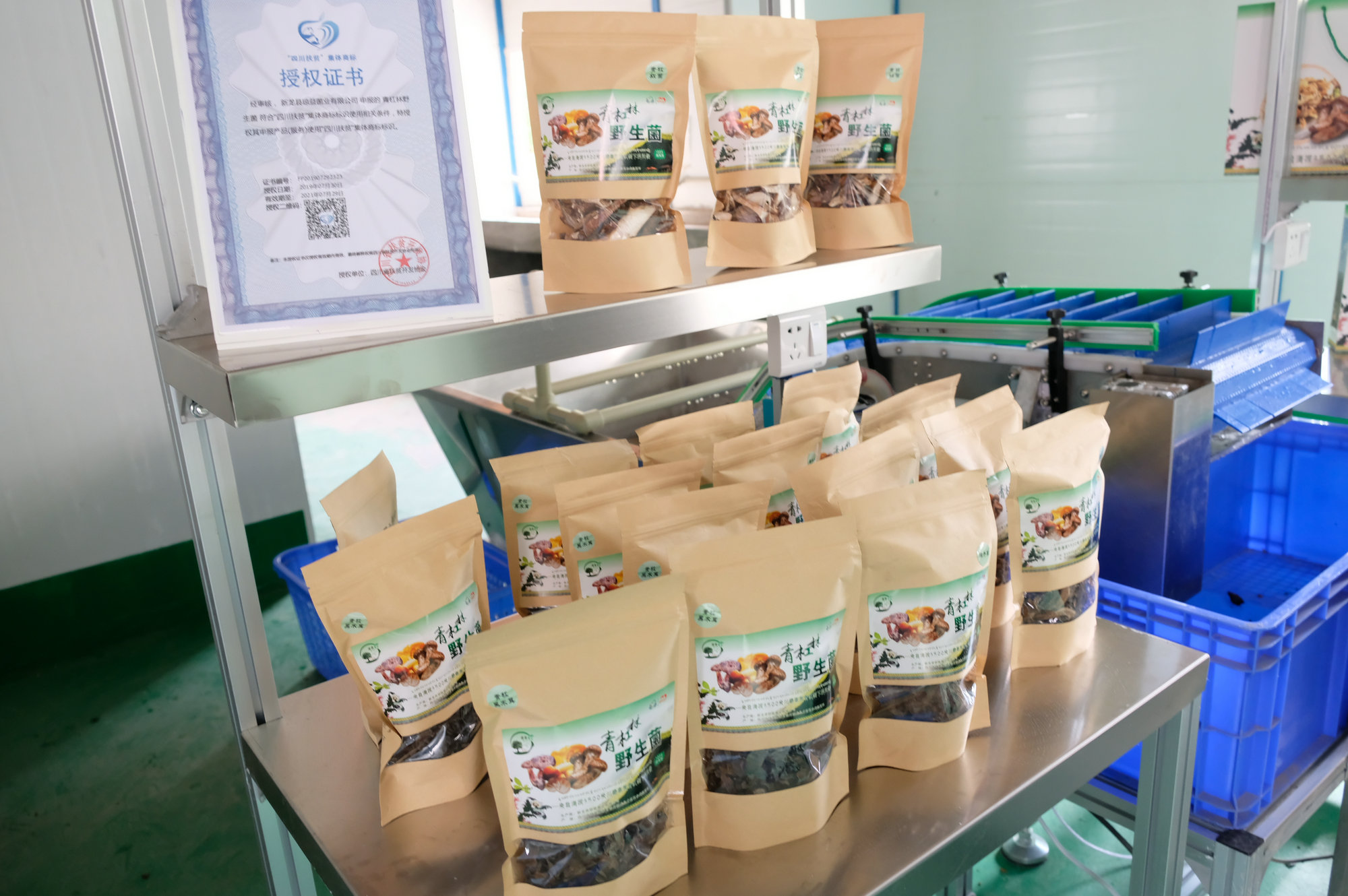 金年会|jinnianhui金年会·(金字招牌)诚信至上官网