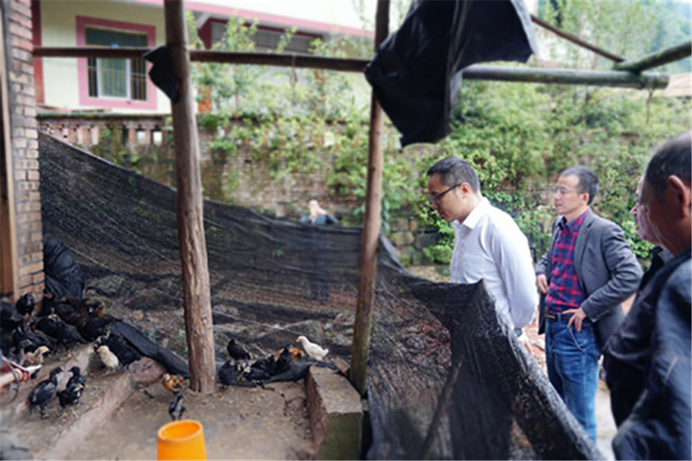 金年会|jinnianhui金年会·(金字招牌)诚信至上官网