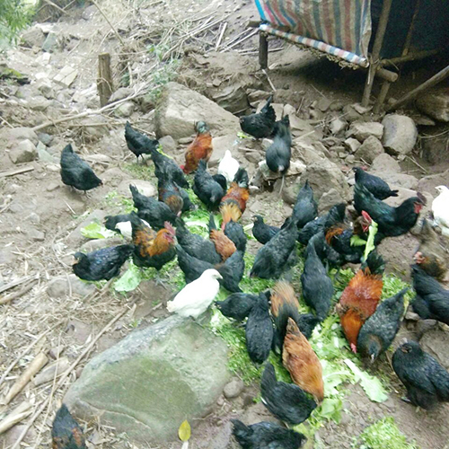 金年会|jinnianhui金年会·(金字招牌)诚信至上官网