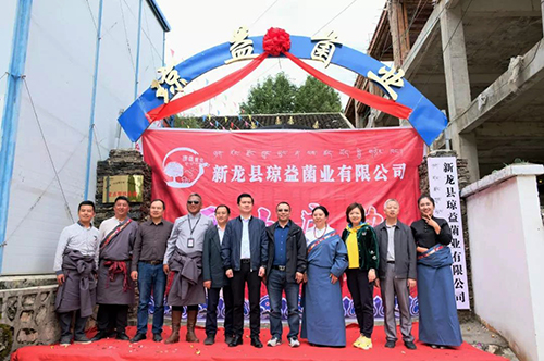 金年会|jinnianhui金年会·(金字招牌)诚信至上官网