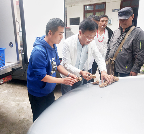 金年会|jinnianhui金年会·(金字招牌)诚信至上官网