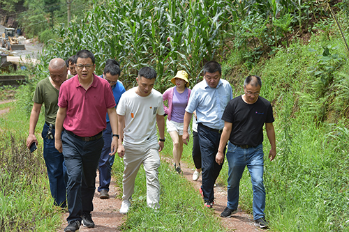 金年会|jinnianhui金年会·(金字招牌)诚信至上官网