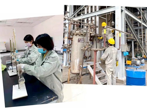 金年会|jinnianhui金年会·(金字招牌)诚信至上官网