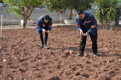 金年会|jinnianhui金年会·(金字招牌)诚信至上官网