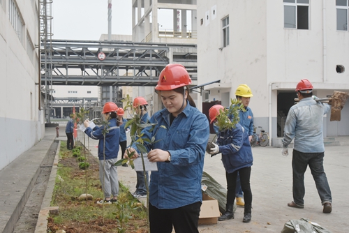 金年会|jinnianhui金年会·(金字招牌)诚信至上官网