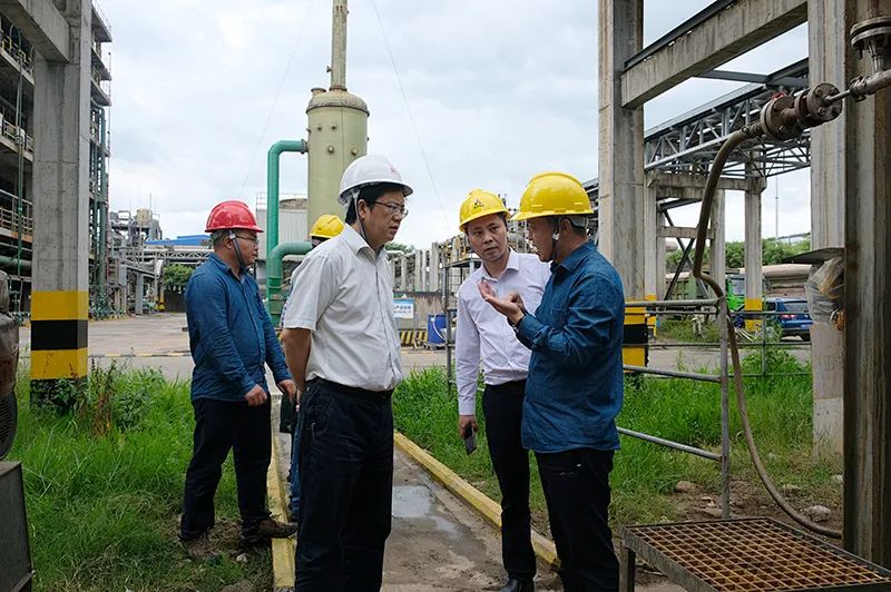 金年会|jinnianhui金年会·(金字招牌)诚信至上官网