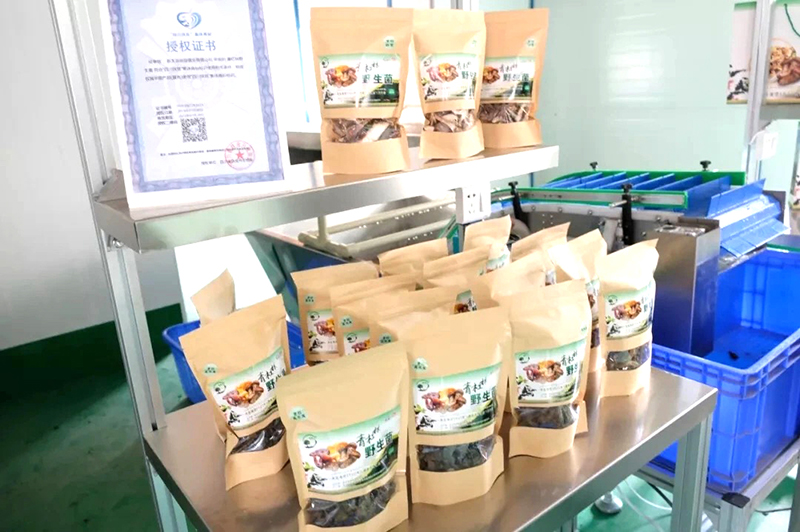 金年会|jinnianhui金年会·(金字招牌)诚信至上官网