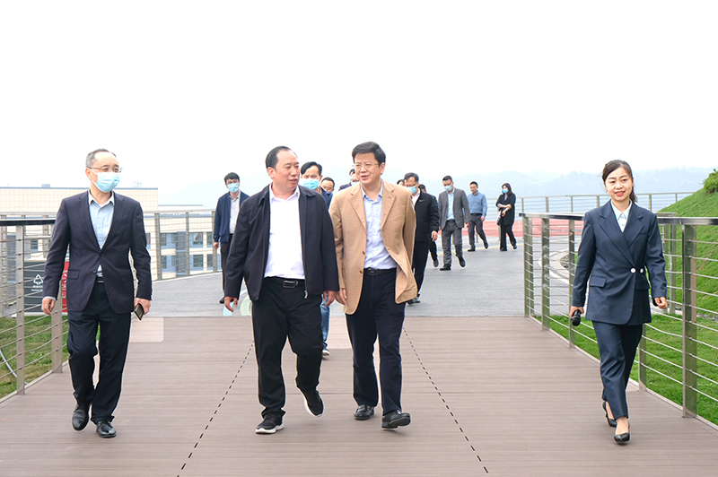 金年会|jinnianhui金年会·(金字招牌)诚信至上官网