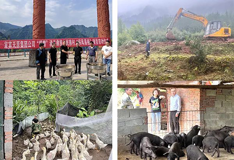 金年会|jinnianhui金年会·(金字招牌)诚信至上官网