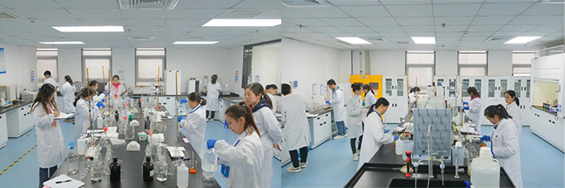 金年会|jinnianhui金年会·(金字招牌)诚信至上官网