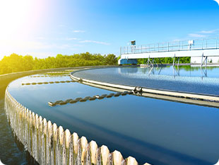 金年会|jinnianhui金年会·(金字招牌)诚信至上官网