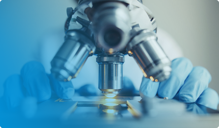 金年会|jinnianhui金年会·(金字招牌)诚信至上官网