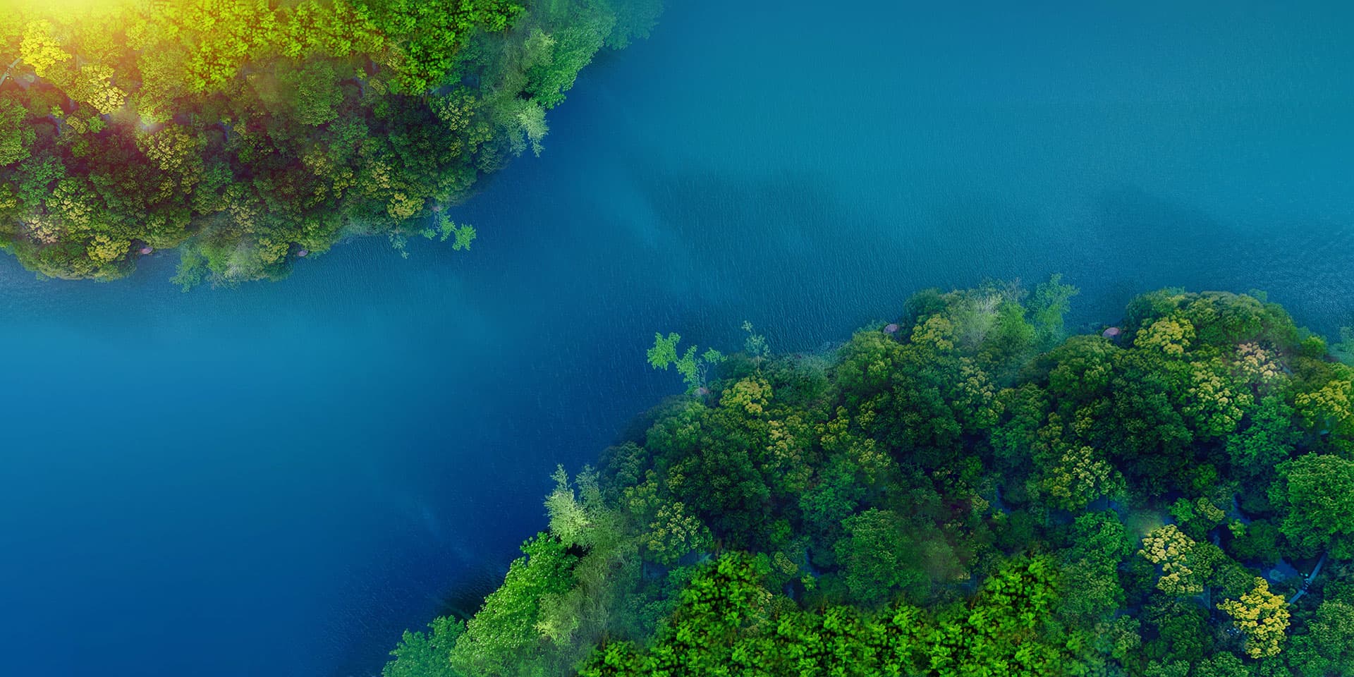 金年会|jinnianhui金年会·(金字招牌)诚信至上官网