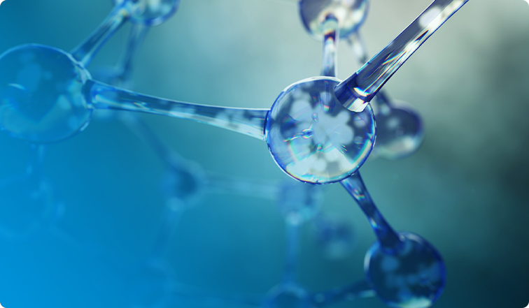 金年会|jinnianhui金年会·(金字招牌)诚信至上官网