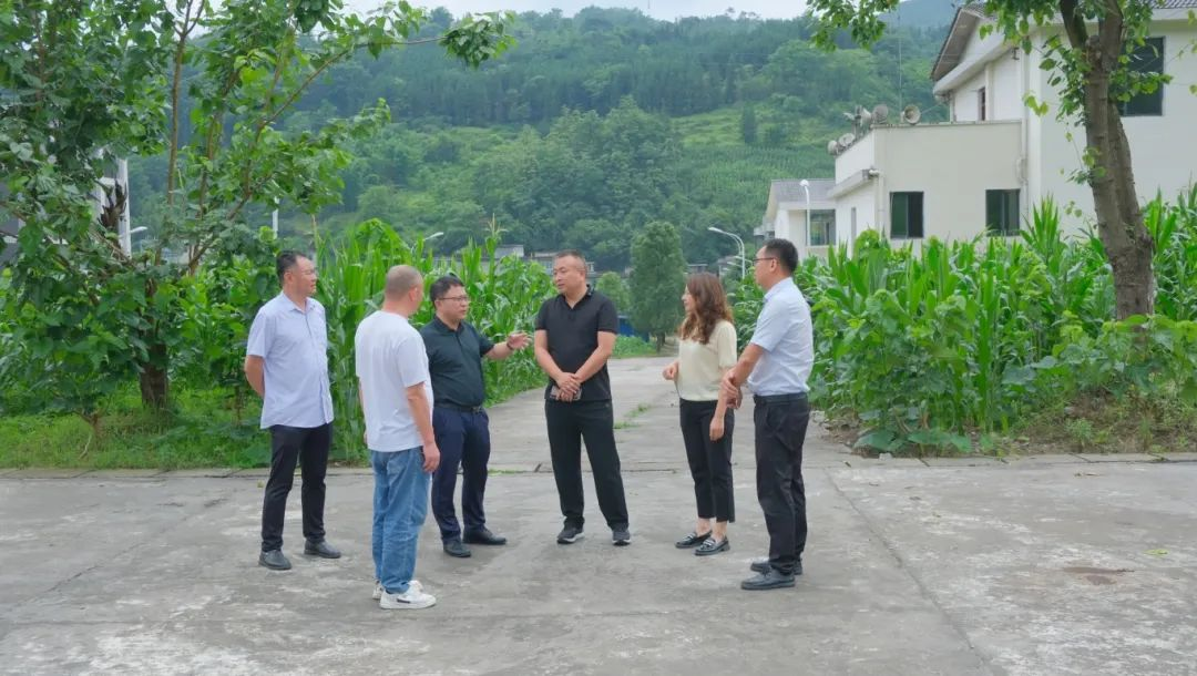 金年会|jinnianhui金年会·(金字招牌)诚信至上官网