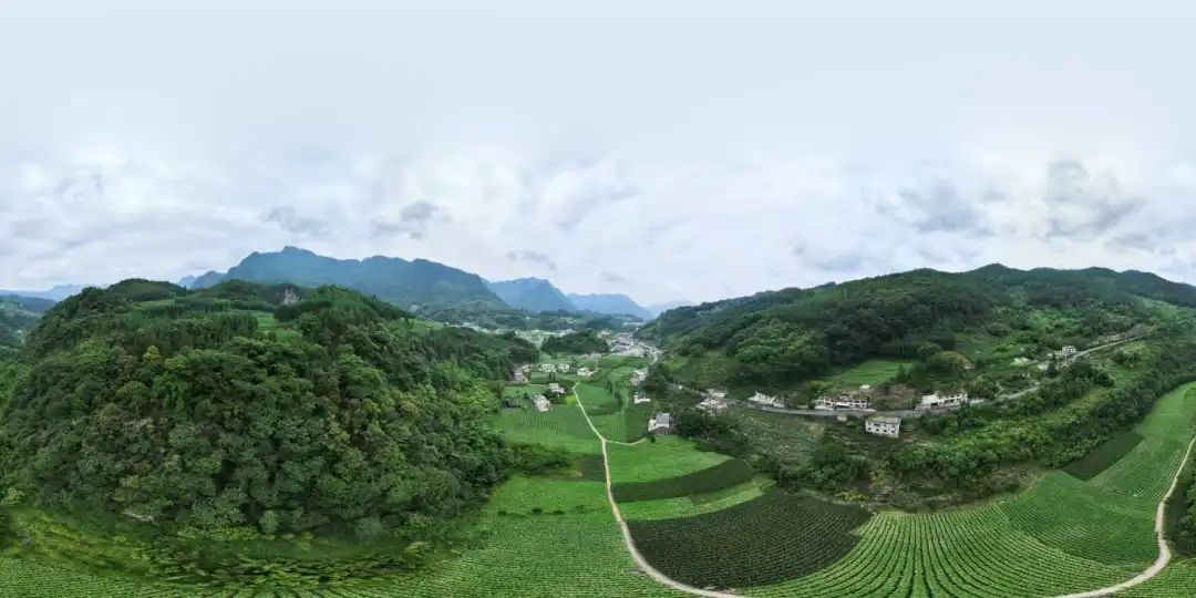 金年会|jinnianhui金年会·(金字招牌)诚信至上官网