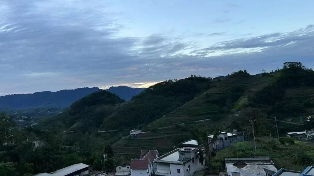 金年会|jinnianhui金年会·(金字招牌)诚信至上官网